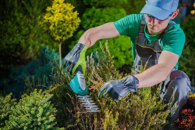 landscaping services North Scituate
